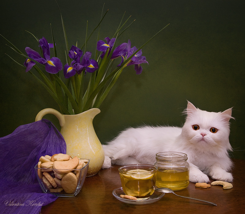 Фото жизнь - Валентина Корибут - Натюрморты - Приходите к нам на чай!