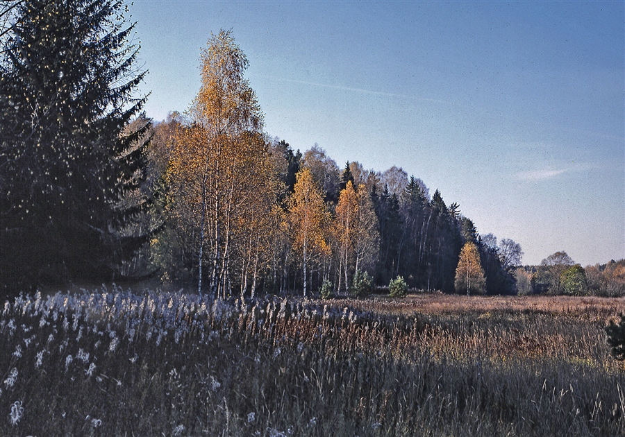 Фото жизнь
