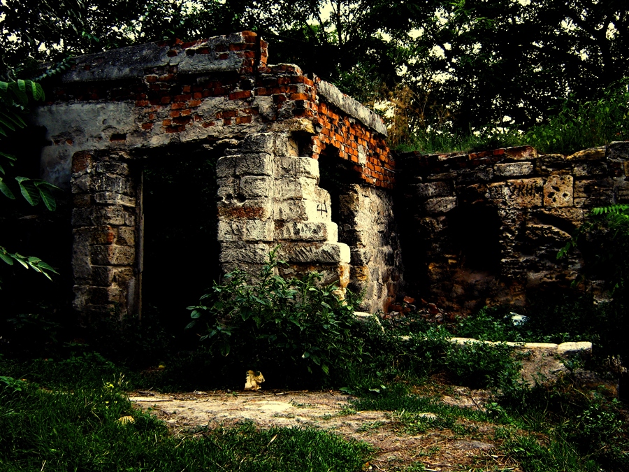 Фото жизнь
