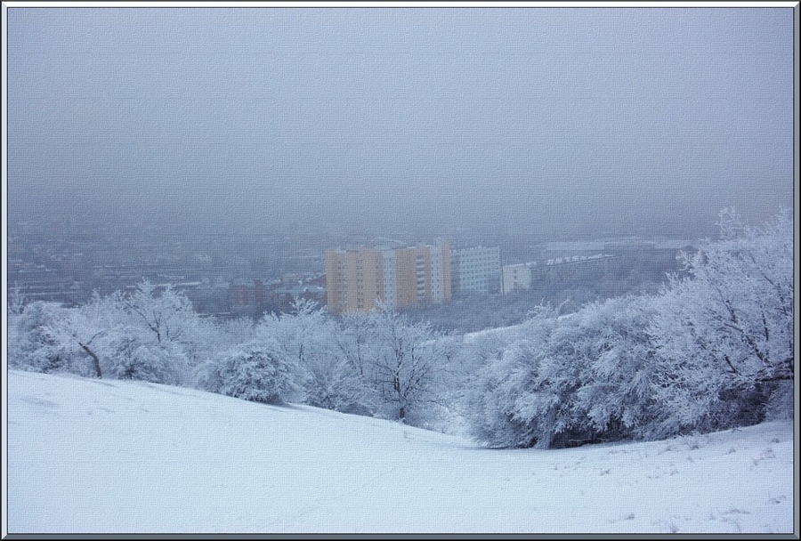 Фото жизнь