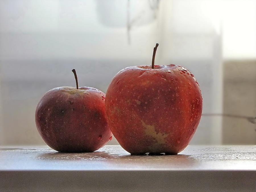 Фото жизнь (light) - breslavskaia - корневой каталог - Два красных яблока зимой...