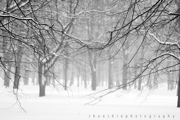 Фото жизнь (light) - gash - пейзаж - прогулки по зимнему лесу №1