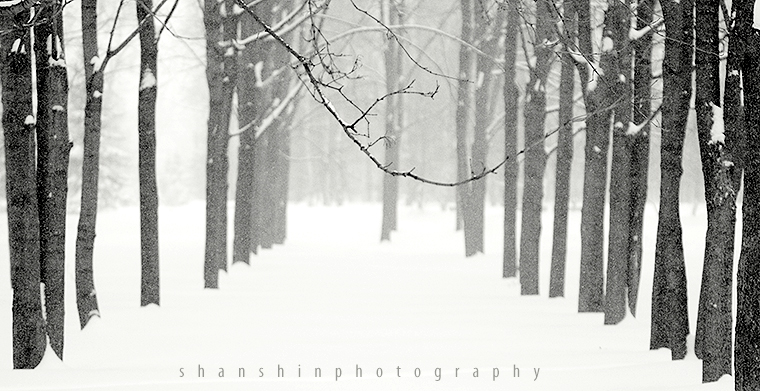 Фото жизнь - gash - пейзаж - прогулки по зимнему лесу №2