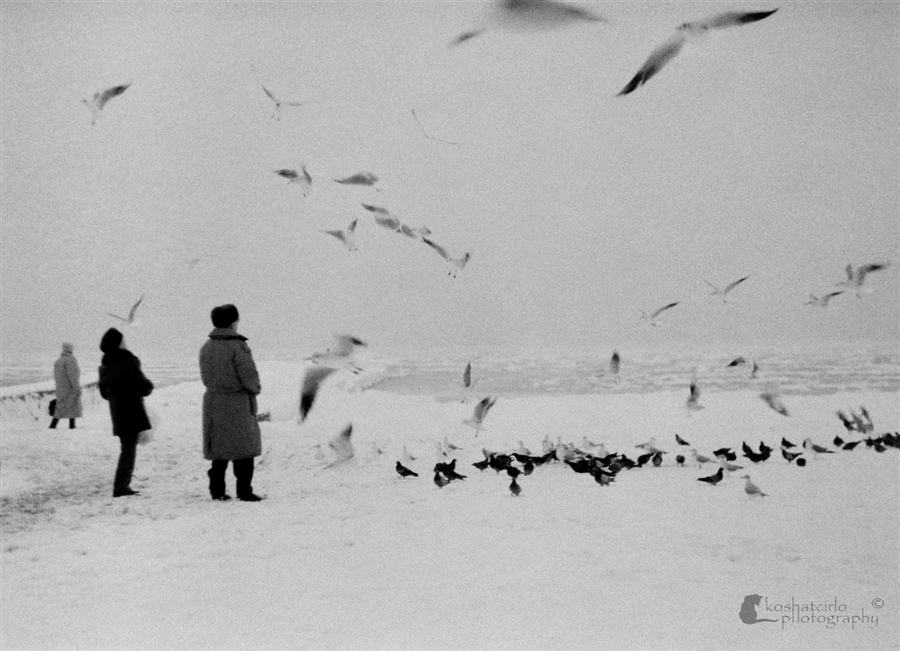 Фото жизнь