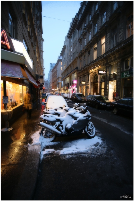 Фото жизнь (light) - nikkon (Николай ) - корневой каталог - в ожидании весны