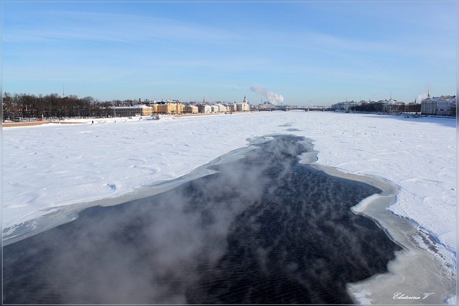 Фото жизнь