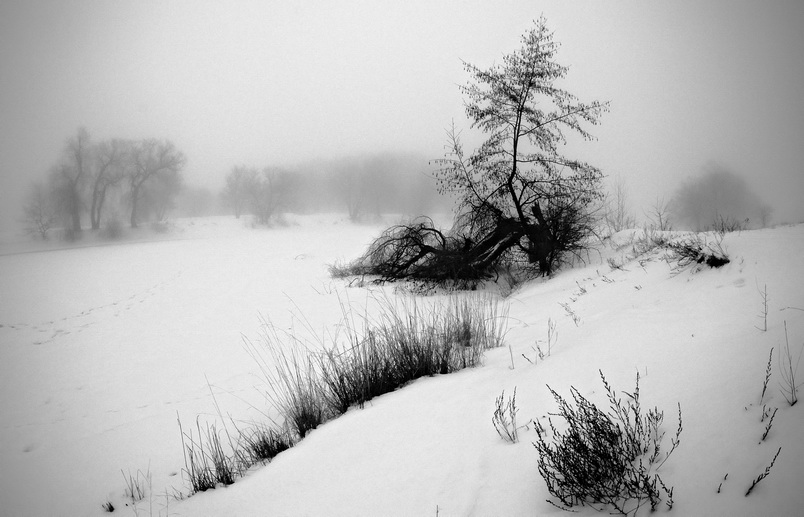 Фото жизнь (light) - Биленский Гена - Моя Україна - ****