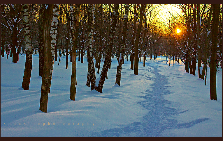 Фото жизнь (light) - gash - пейзаж - зимние прогулки №5