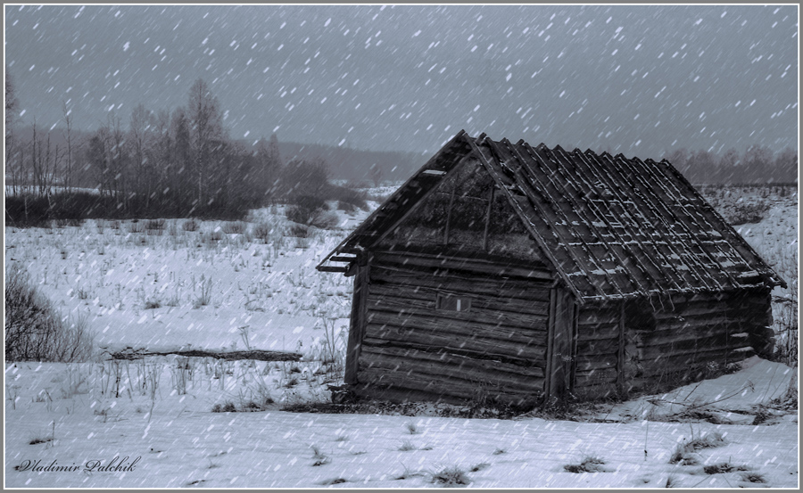 Фото жизнь (light) - Владимир Пальчик - Разное - Зима продолжается...