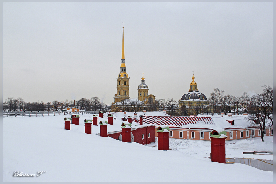 Фото жизнь