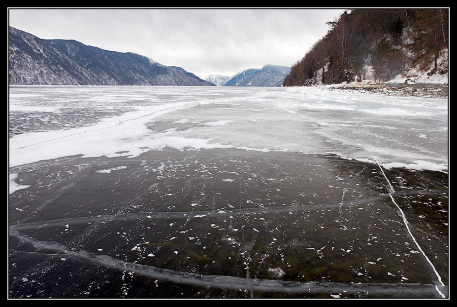 Фото жизнь