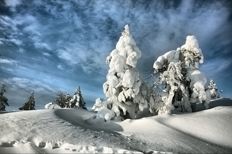 Фото жизнь (light) - Valtteri Mulkahainen - корневой каталог - Зимний день на сопках ...