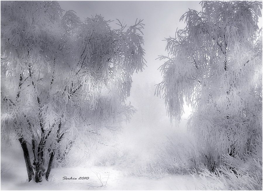Фото жизнь (light) - serg... - Природа, пейзажи - Пожелания Зимы...