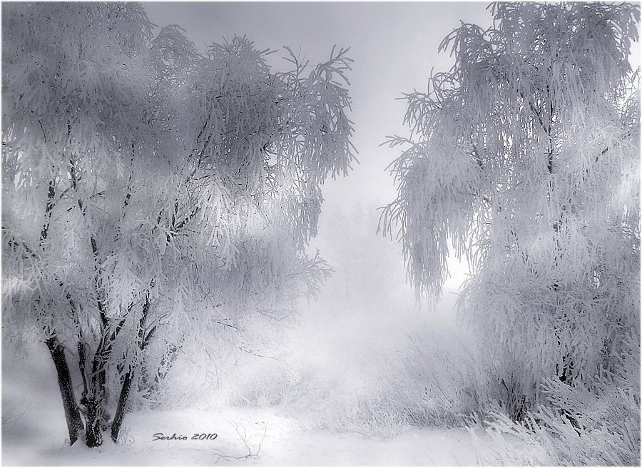 Фото жизнь - serg... - Природа, пейзажи - Пожелания Зимы...