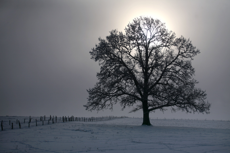 Фото жизнь (light) - Agris Robs - корневой каталог - ... зима