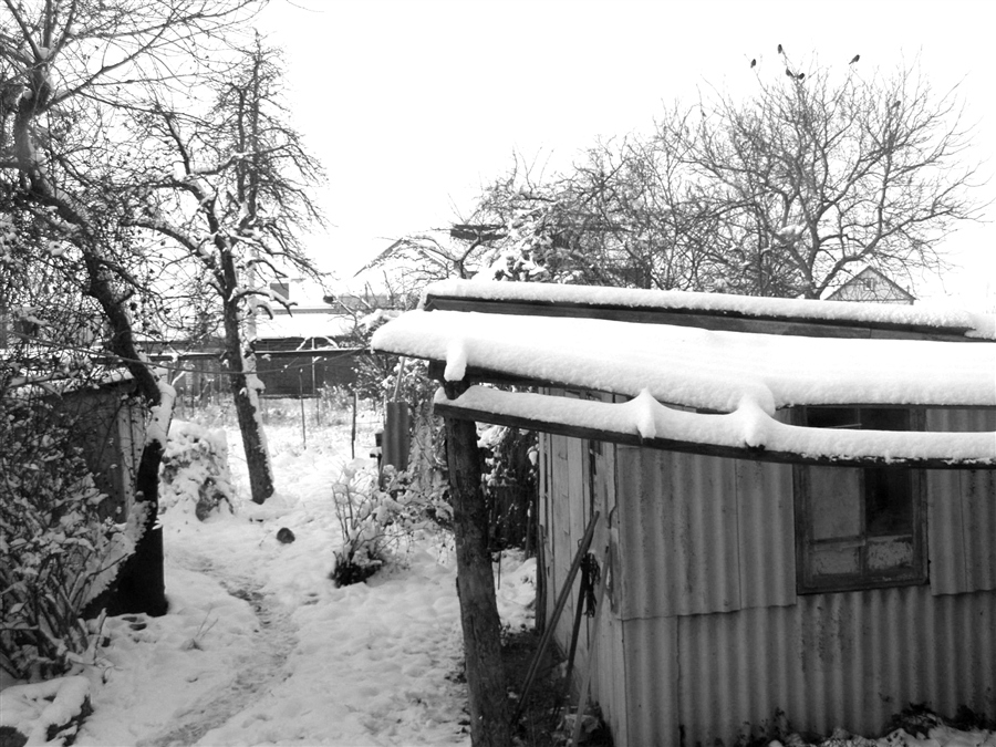 Фото жизнь