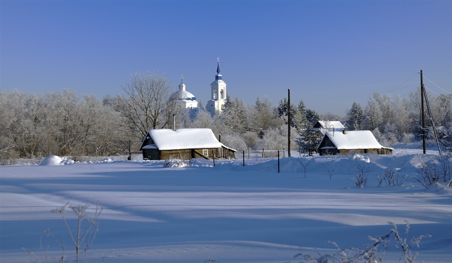 Фото жизнь