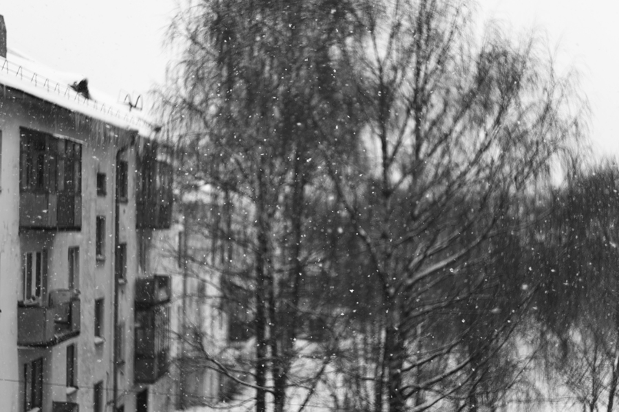 Фото жизнь