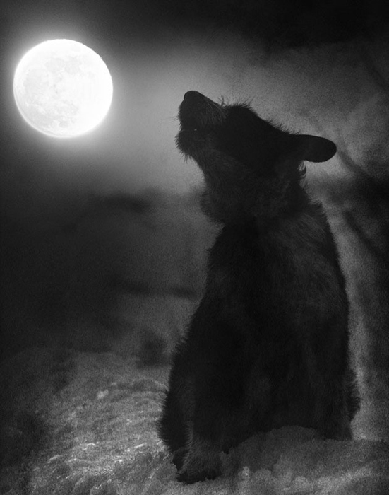 wOOlf-mOOn