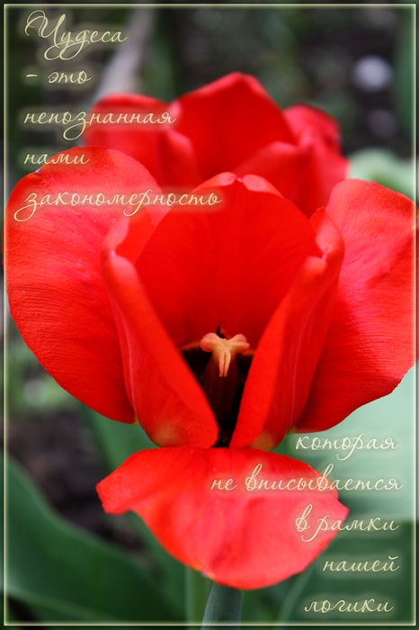 Весна