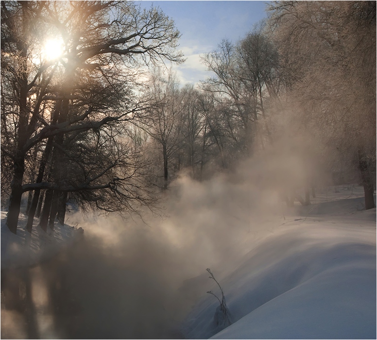Фото жизнь