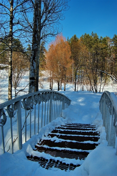 Фото жизнь