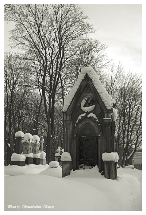 Фото жизнь