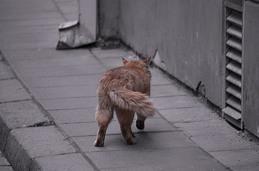Фото жизнь