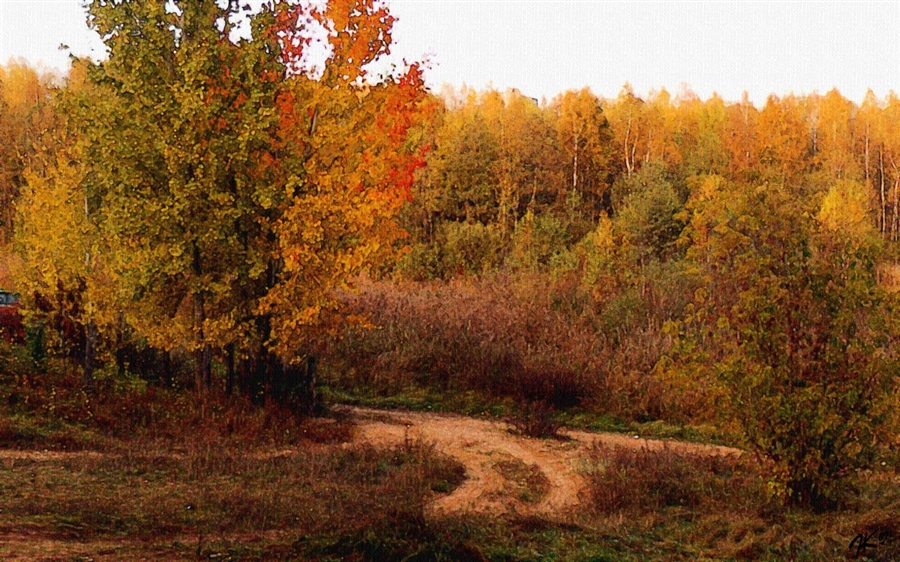 Фото жизнь