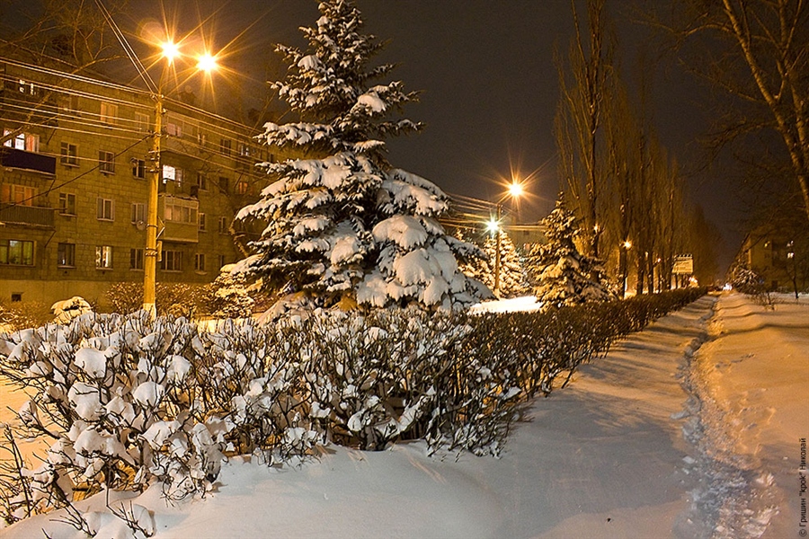 Фото жизнь