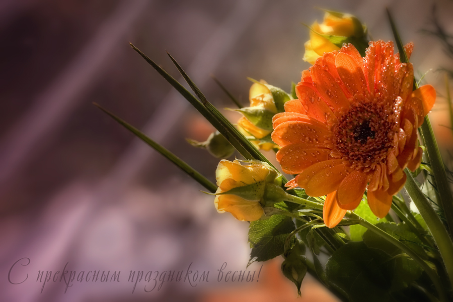 Фото жизнь (light) - lona - цветы - с 8 Марта!!