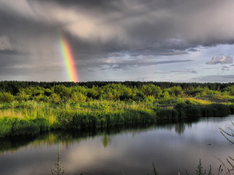 Фото жизнь (light) - Владимир Комаров - корневой каталог - ..светопреломление..