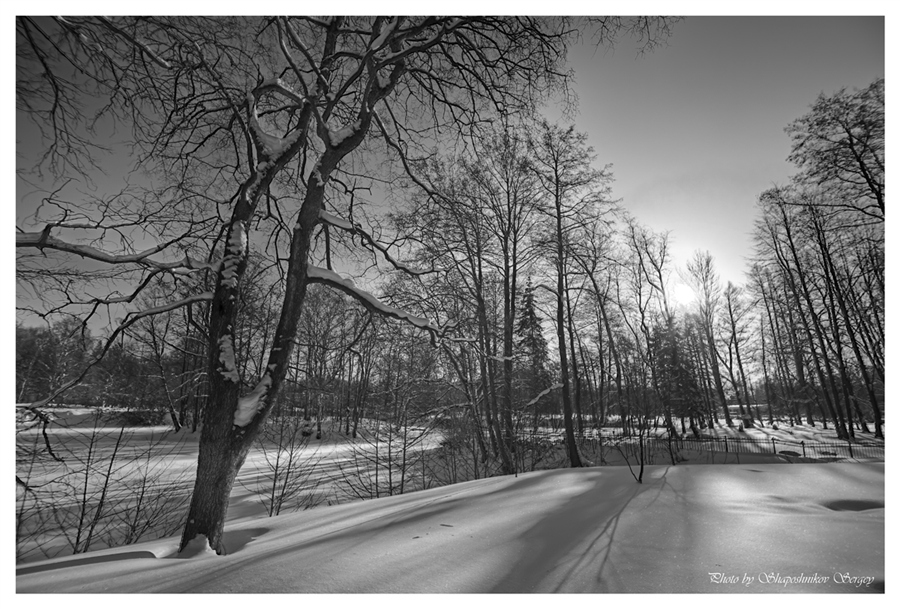 Фото жизнь
