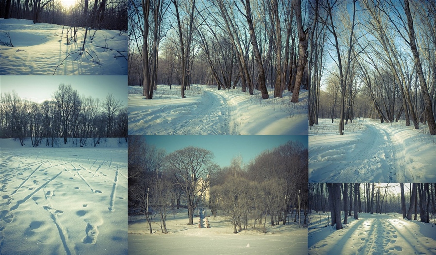 Фото жизнь
