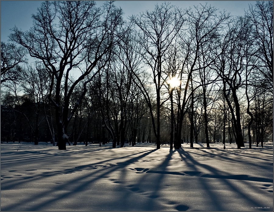 Фото жизнь
