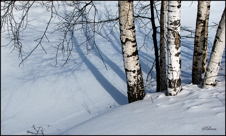 Фото жизнь