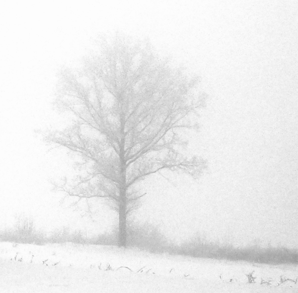 Фото жизнь (light) - mystera - Winter Landschaft. -                                   *