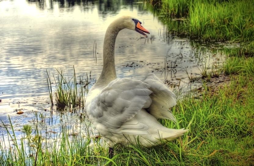 Фото жизнь (light) - Rostik - корневой каталог - ***