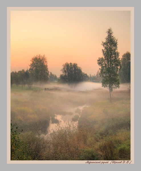 Фото жизнь (light) - Detochkin - корневой каталог - Муринский ручей
