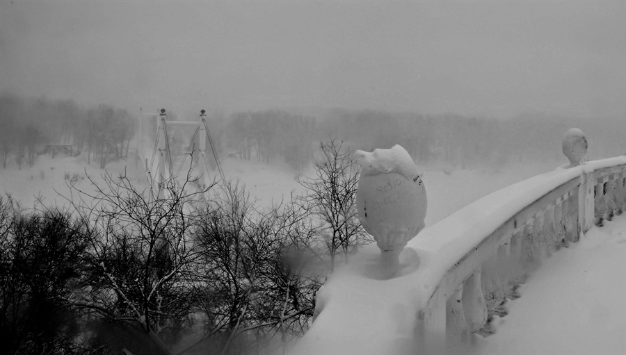 Фото жизнь