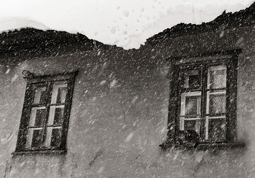 Фото жизнь (light) - Taina - Наблюдая жизнь... - снегопад...