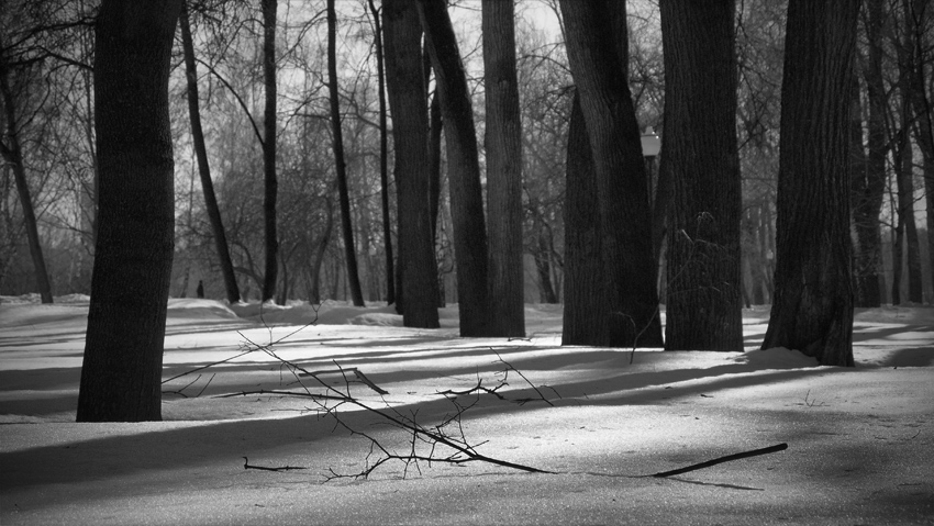 Фото жизнь (light) - sfinks - корневой каталог - ***