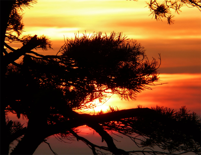 Фото жизнь (light) - mystera - Природа  -  Sunset Serenade.
