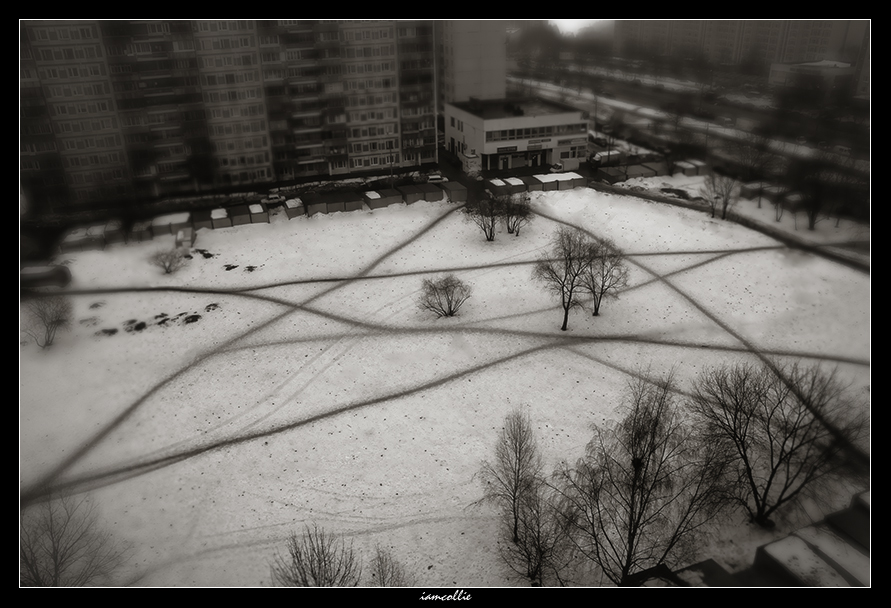 Фото жизнь