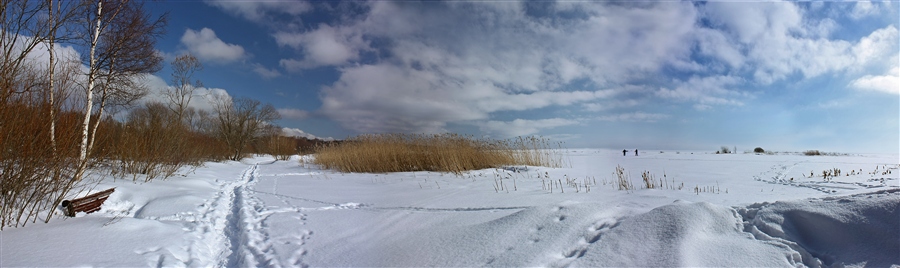 Фото жизнь