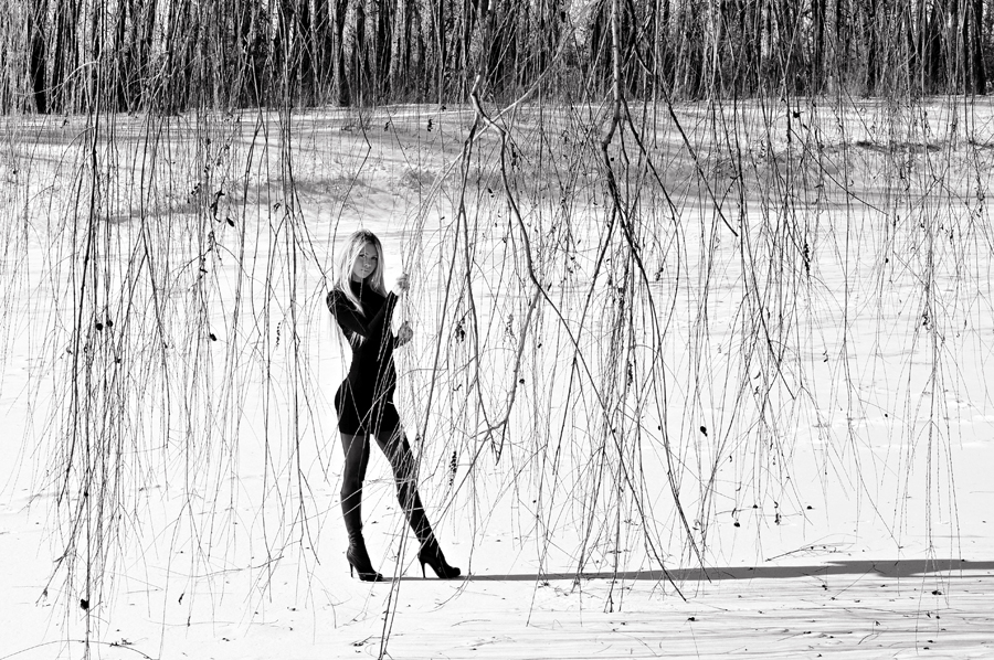Фото жизнь - Svetlana_Raubo - корневой каталог - Зимний силуэт