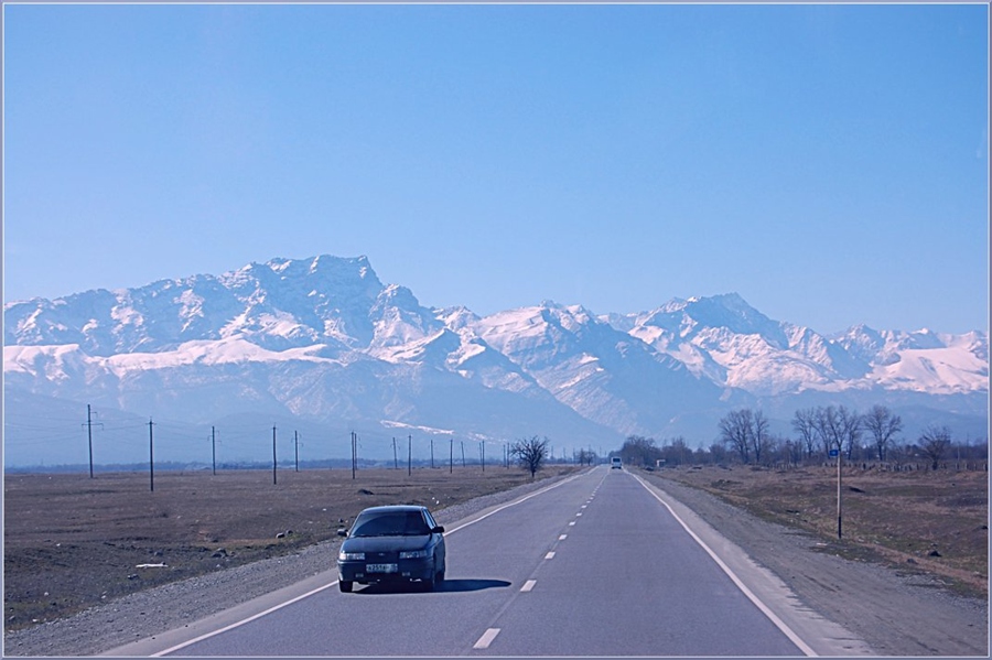 Фото жизнь