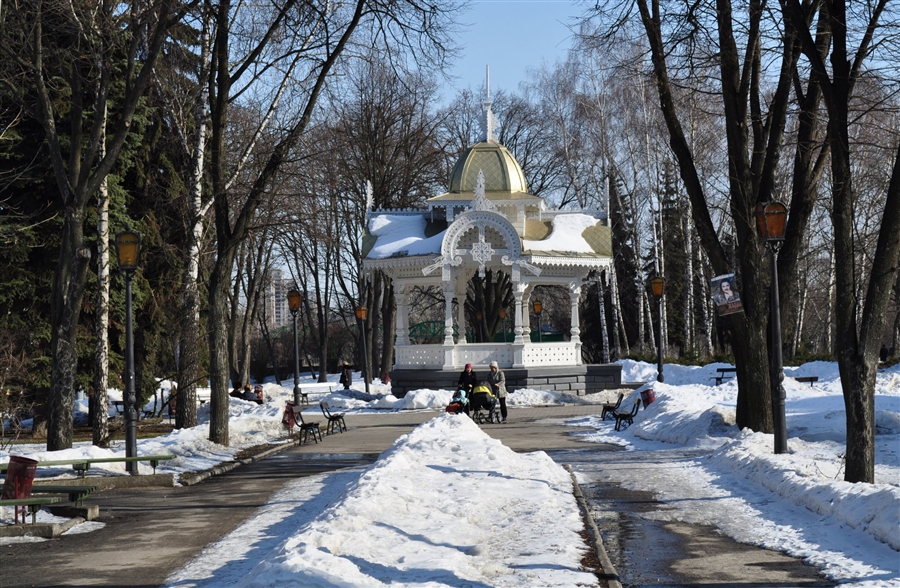 Фото жизнь