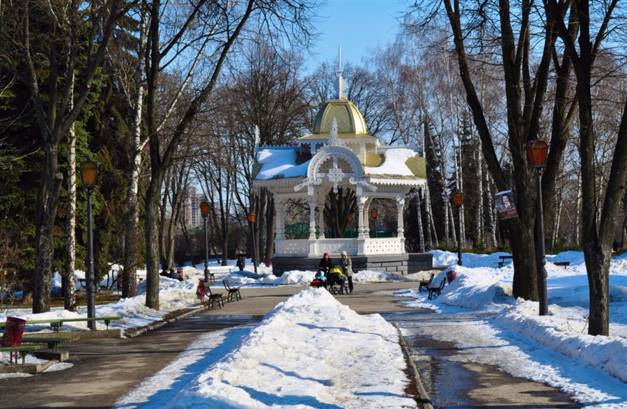Фото жизнь