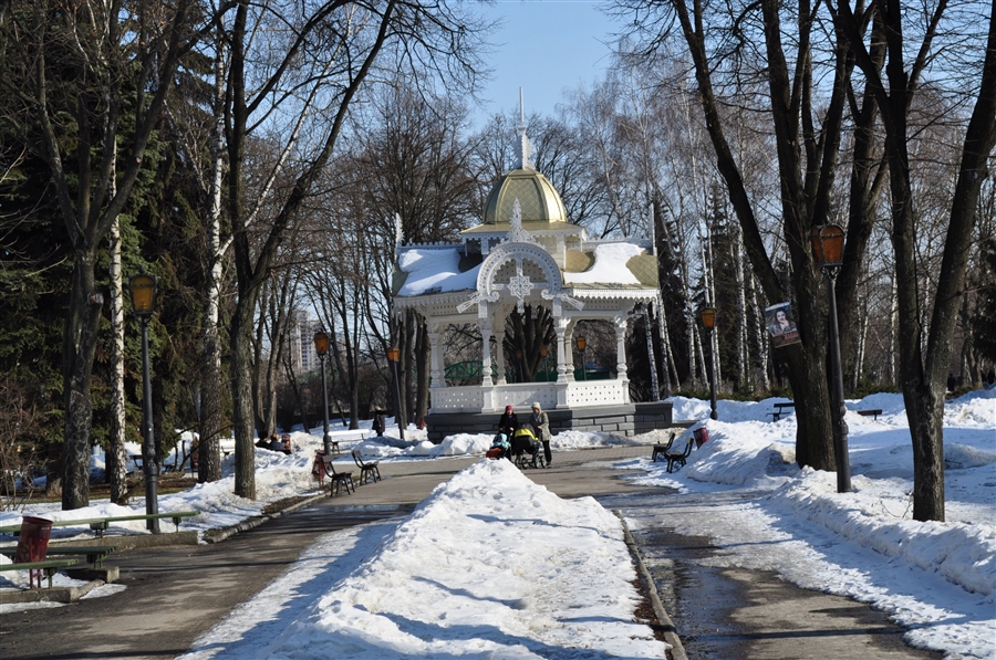 Фото жизнь